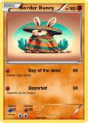 Border Bunny