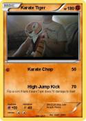 Karate Tiger