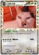 Cute Cat 1