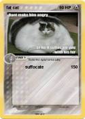 fat cat