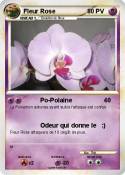 Fleur Rose