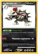 Dry Bowser