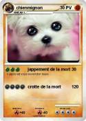 chienmignon