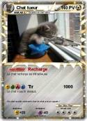 Chat tueur