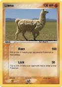 Llama
