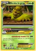 Shreko le gros