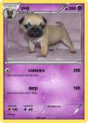 pug