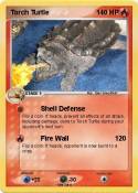 Torch Turtle