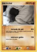 max le chat