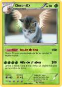 Chaton EX