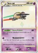 Taco cat