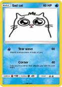 Sad cat