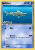 Reef Shark
