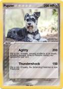 Pupzer