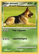 berger allemand