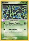 Bacteria