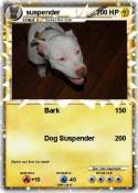 suspender
