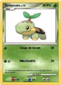 Tortipouss