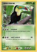 coloro toucan