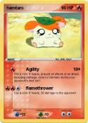 hamtaro