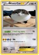 Wawa Cat
