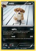puppy