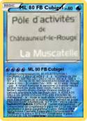ML 80 FB Cubige