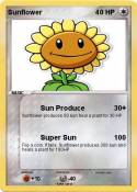 Sunflower
