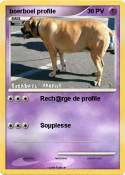 boerboel profil