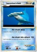 harmmhed shark
