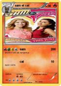 sam et cat