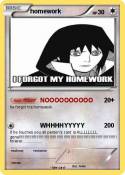 homework