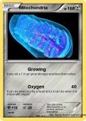 Mitochondria