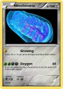 Mitochondria