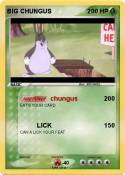 BIG CHUNGUS