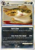 cat