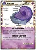 Nucleus