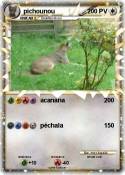 pichounou