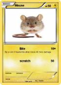 Mouse