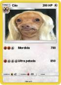 Cão
