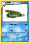 turtle