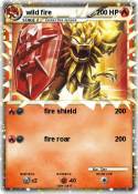 wild fire