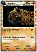 Léopardo