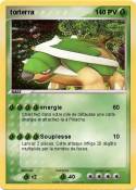 torterra