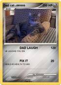 Dad cat