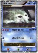 bébé loup