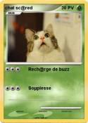 chat sc@red