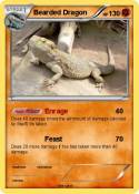 Bearded Dragon