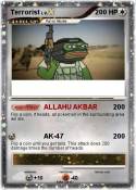 Terrorist