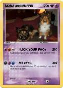 MONA and MUFFIN